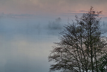 Foggy Morning on Lake