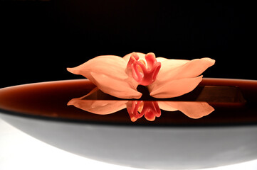 Close-up of flower carving handicraft