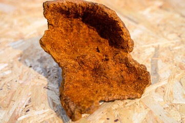 peeled wild birch chaga mushroom for brewing natural fungus tea on a wooden surface