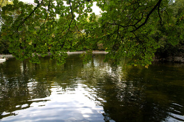 Fototapeta na wymiar park with water pond and tree leaves