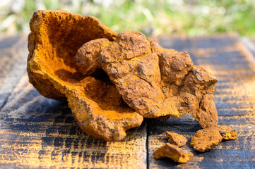 peeled wild birch chaga mushroom for brewing natural fungus tea on a wooden surface