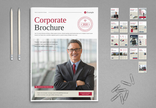 Beige and White Business Brochure Layout with Red and Navy Accents