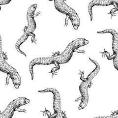 Seamless pattern of hand drawn sketch style geckos isolated on white background. Vector illustration.
