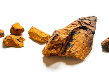chaga mushroom. large cleaned piece and small pieces natural wild birch fungus chaga isolated on white background
