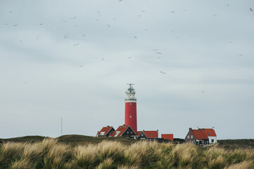 Horizontal view of Red old lighthouse on Texel Island in Netherlands. Birds fly over the lighthouse. Travel concept