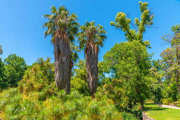 Fitzroy gardens in Melbourne, Australia