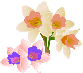 Vector drawing of a bouquet of handmade flowers on a white isolated background. Boot, daffodils flat, cartoon. Registration of cards, menus, banners, printing on fabric, covers