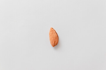Raw almonds in their shells arranged on a gray background, flat lay