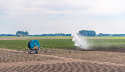 Irrigation of the field due to persistent drought in the Netherlands