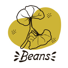 Vector outline drawing of a handmade bean bush on a white isolated background. Bean leaves line, sketch. Registration of cards, menus, banners, printing on fabric, covers