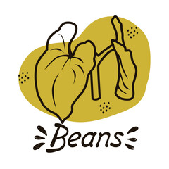 Vector outline drawing of a handmade bean bush on a white isolated background. Bean leaves line, sketch. Registration of cards, menus, banners, printing on fabric, covers