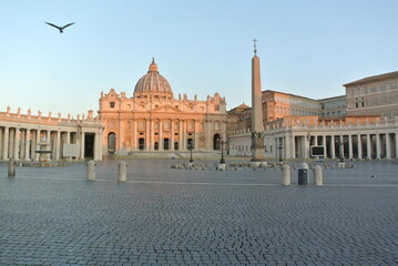 Naklejka premium Flying seagull over the Vatican City in the morning. 