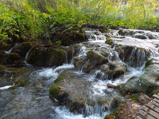 small waterfall in the forest