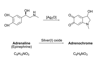 Synthesis of adrenochrome, chemical equation. Oxidation of adrenaline (epinephrine) by silver(I) oxide. Molecules, skeletal formulas and structures. A component of several conspiracy theories. Vector.