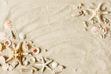 Sea sand with starfish and shells top. Summer beach background.