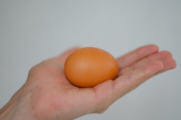 Egg in hand on a white background