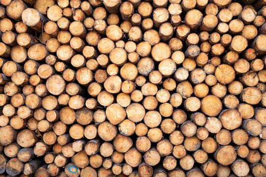 Holzstapel