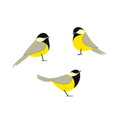 Cartoon bird icon set. Different poses of chickadee. Vector illustration for prints, clothing, packaging, stickers.