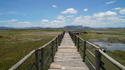 Fototapeta premium Mieszkanie w Natinal Park Rincón de la Vieja, Guanacaste, Kostaryka