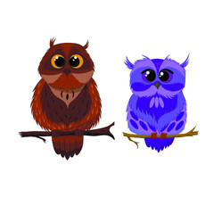 two owls sitting on a branch