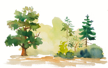 watercolor illustration of trees on white background