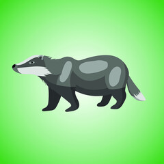 
Badger, wild animal, drawing, vector illustration