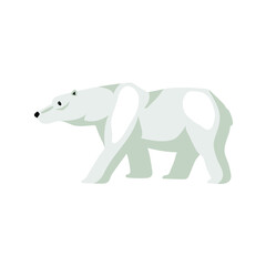 Polar bear, wild animal, vector illustration