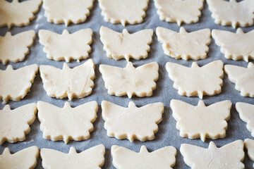 raw gluten-free cookies lie symmetrically on parchment paper in the form of butterflies made of cottage cheese and rice flour . raw cookies before baking