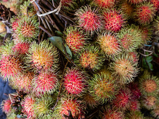 rambutan