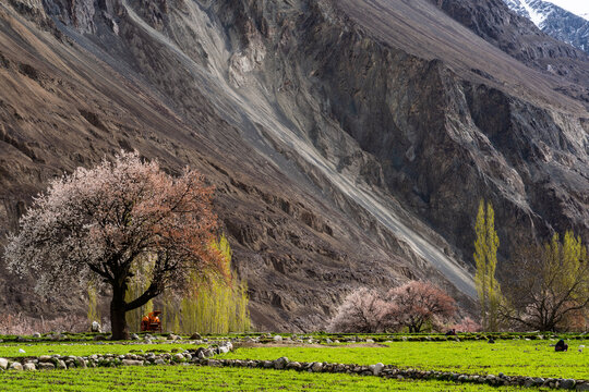 Landscape of Turtuk village in spring season, Leh district of Jammu and Kashmir in the Nubra Tehsil, India