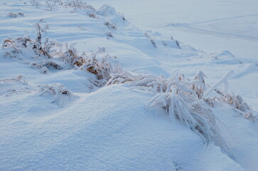 Dry grass in frosty frost on a cold December morning. Khanty-Mansiysk. Western Siberia. Russia.