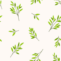 Trendy pattern with branch of a Bay tree Vector illustration.