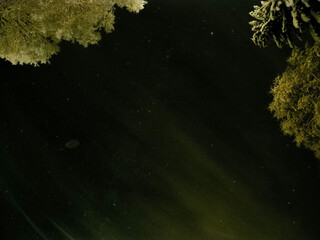 pristine white snow covered trees with dark star night sky background