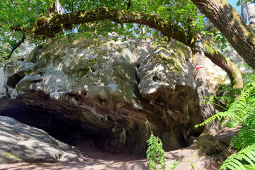 Grotto and GR13 hiking trail sign in the gulf of Larchant. French Gatinais regional nature park