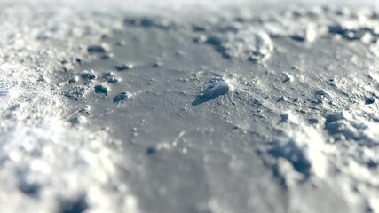 Organic background with moon texture, neutral background with camera movement