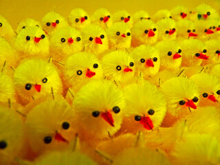 Kleine gelbe Küken, Dekoration zu Ostern. Little yellow chicken for Easter.