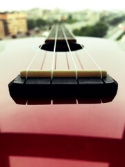 Ukulele
