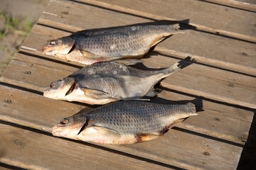 Dried fish. Roach and small bream.