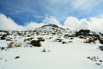 snow covered summit