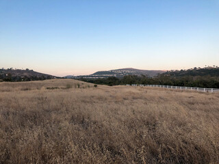 Fototapeta premium Dry grass and wheat field meadow during sunset in the valley. Scenic view of field against sky 