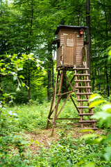 Hochsitz im Wald.