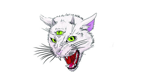 vector illustration of a cat