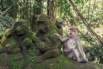 Monkey with hand over a sculpture, at Ubud Sacred Monkey Forest Sanctuary, Indonesia