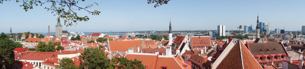 Obraz premium Tallinn, Estonia - August 2019 View of Tallinn Old Town and Toompea Hill in a beautiful summer day