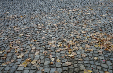 Porphyry cubes used for paving a city street
