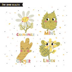 Set of cartoon characters of chamomile, linden, mint, ginger. Vector illustration. Flat style. Excellent for the design of postcards, posters, stickers and so on.