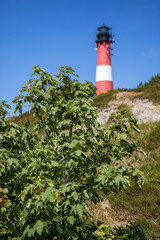 Fototapeta na wymiar lighthouse in northern germany