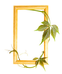 Circle frame from wild grape isolated on white background