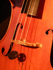 Violoncello in an orchestra