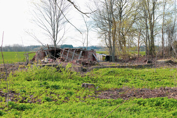 An old collapsed house in the meadow